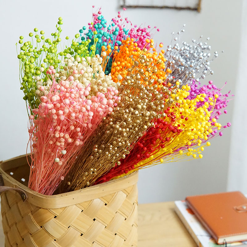 35g/Preserved Ormosia Hosiei N - Dried Flower Bunch 评论和价格