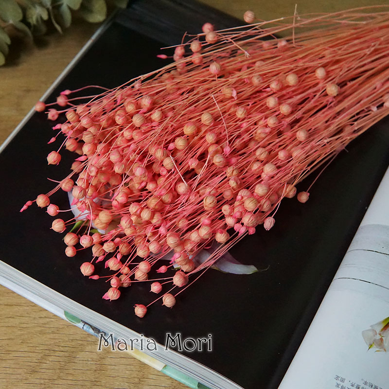 35g/Preserved Ormosia Hosiei N - Dried Flower Bunch 评论和价格