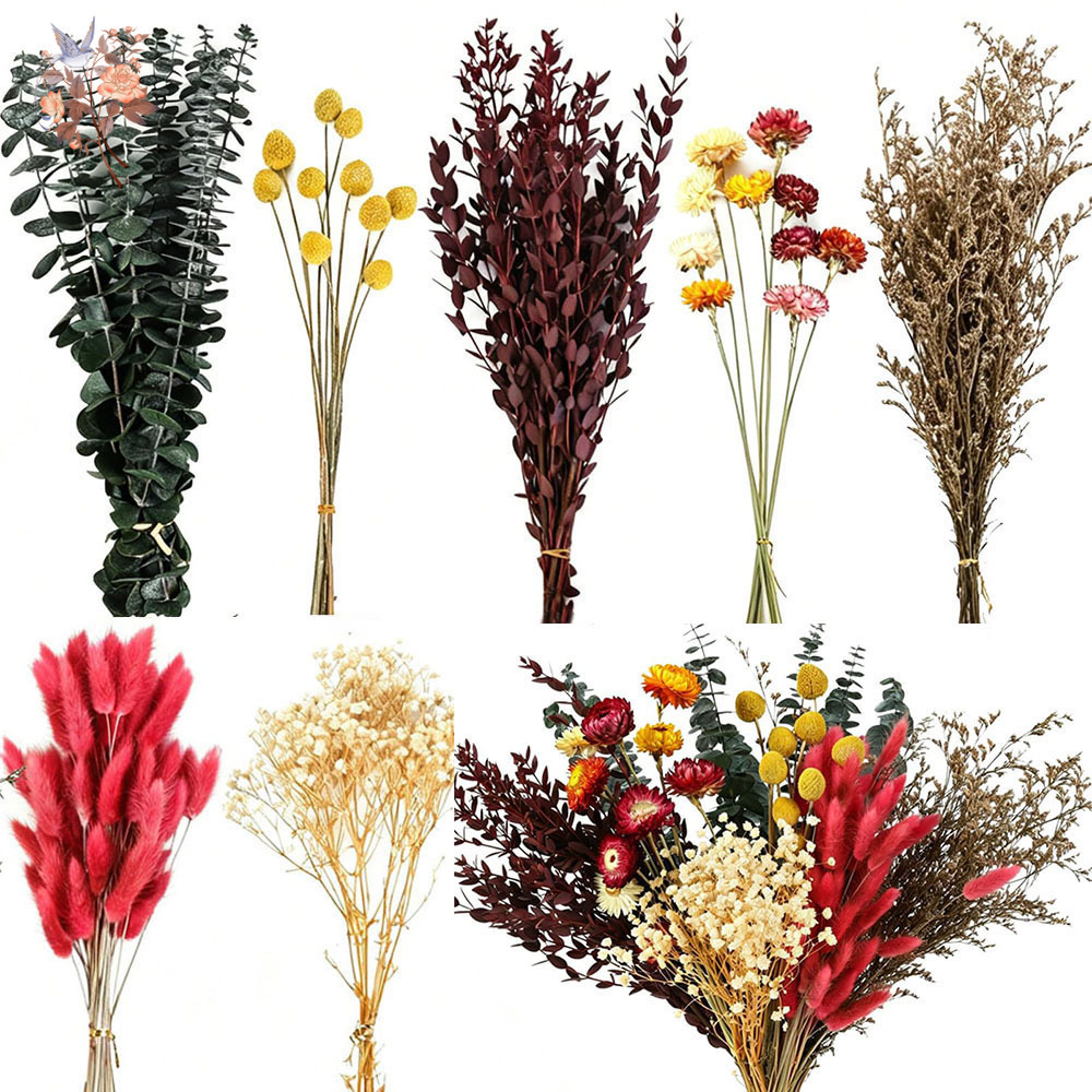Dried Flowers Bulk Set 7 Kinds - Anda Florist Supply 评论和价格
