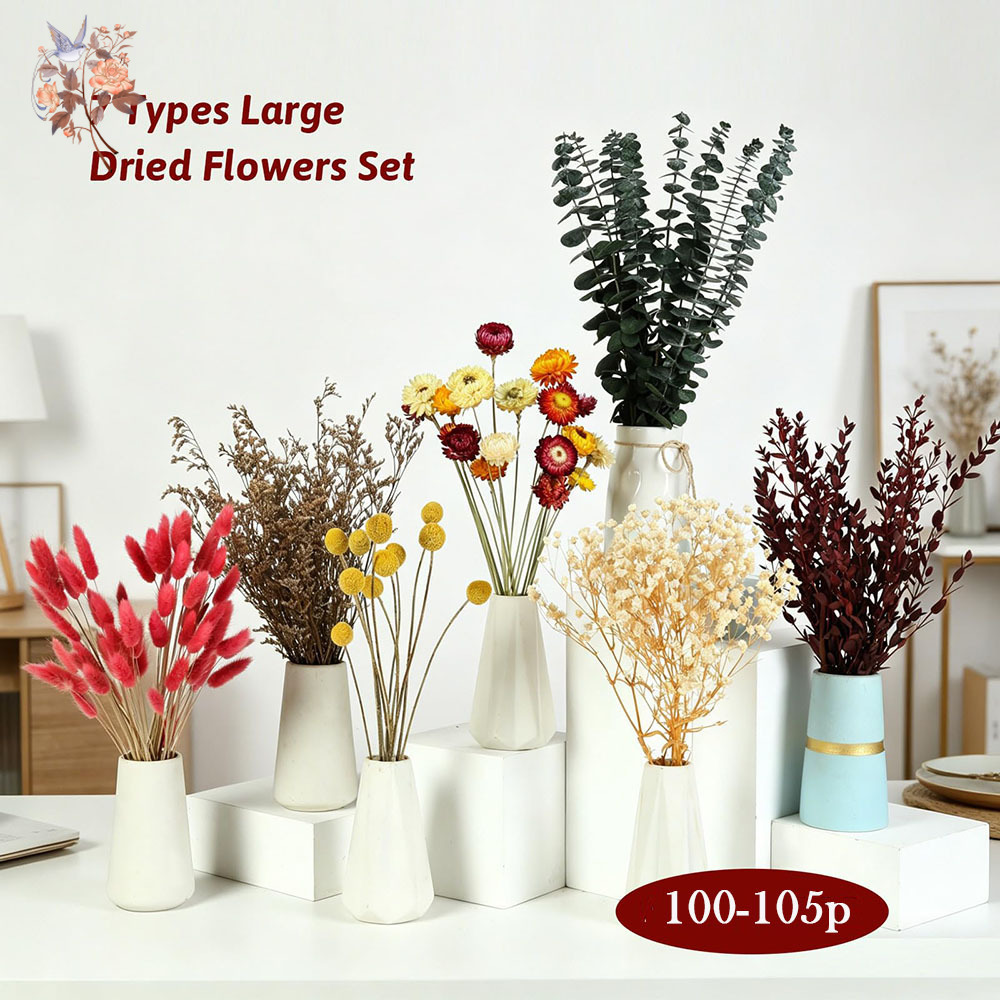 Dried Flowers Bulk Set 7 Kinds - Anda Florist Supply 评论和价格