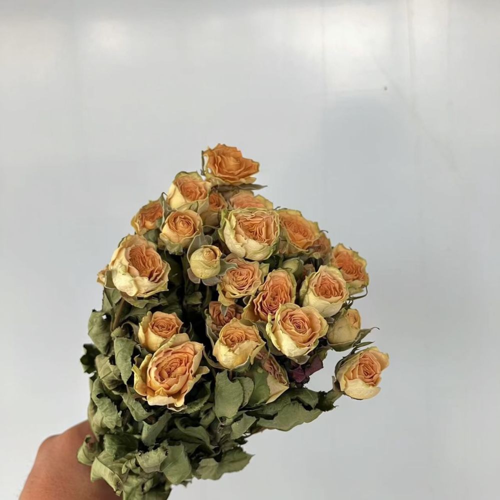 Real Preserved Roses Dried Flo - Dried Flower Bunch 评论和价格