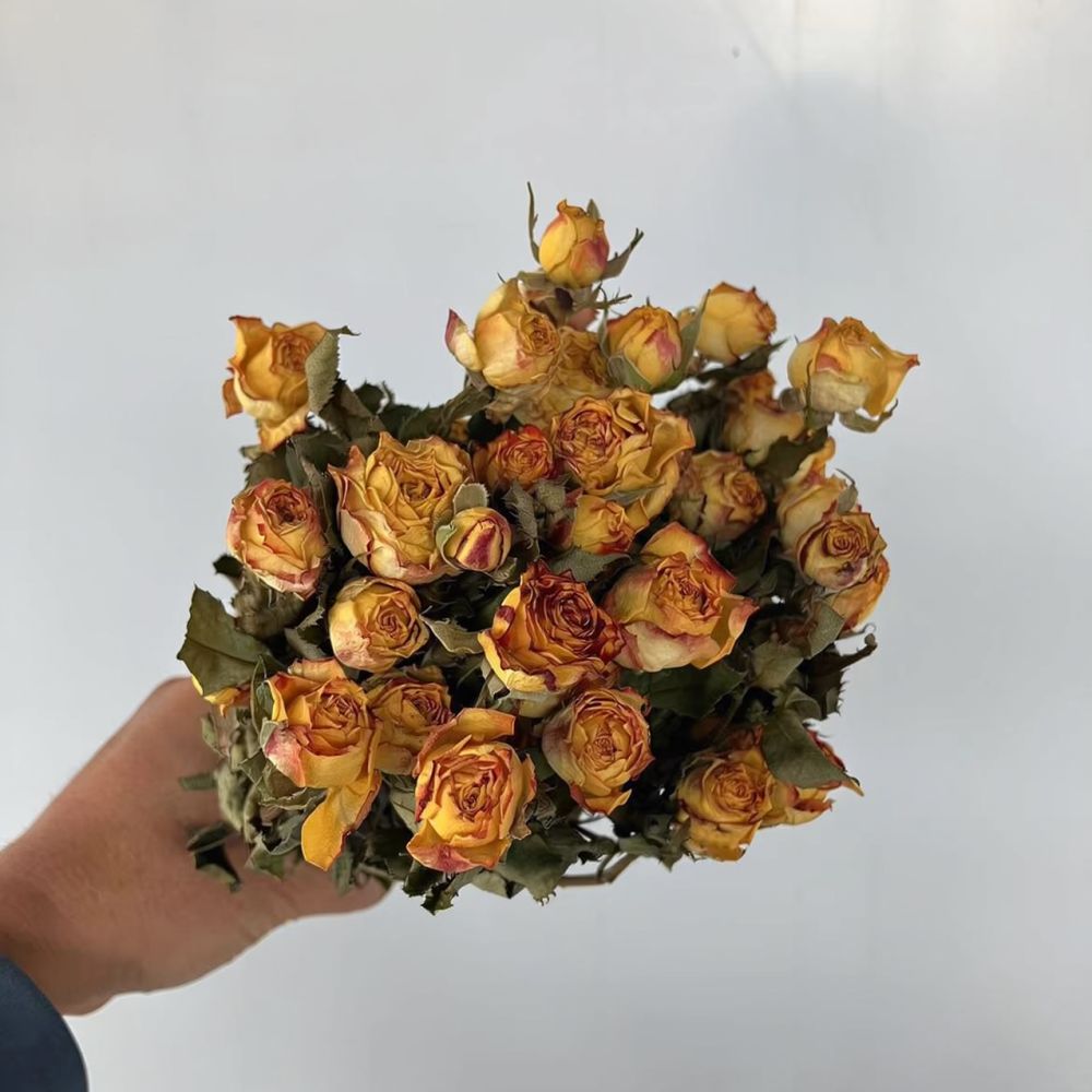 Real Preserved Roses Dried Flo - Dried Flower Bunch 评论和价格