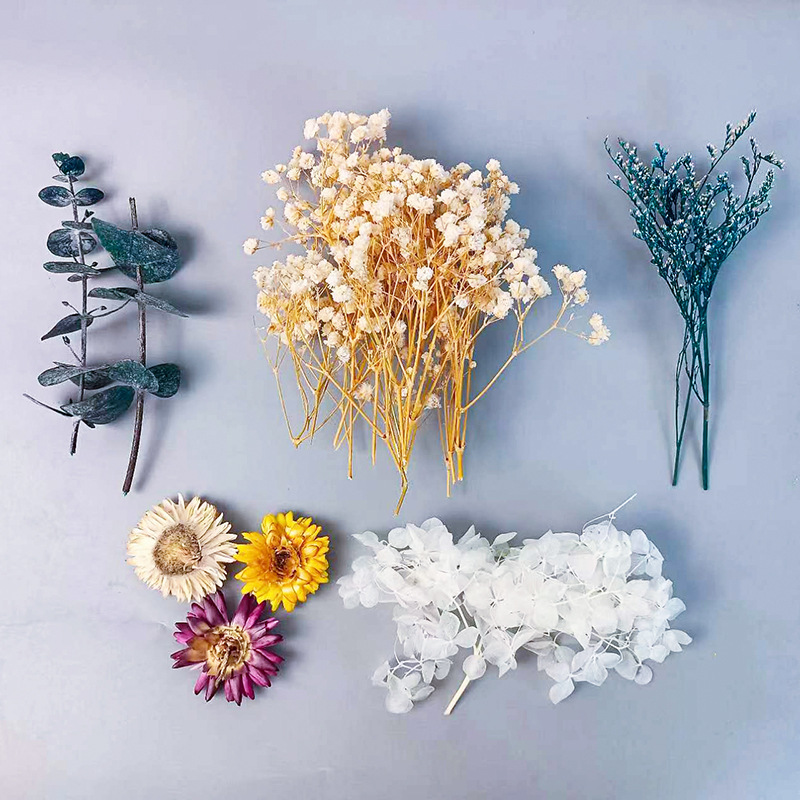 1pack Multifarious Dried Flowe - Dried Flower Bunch 评论和价格