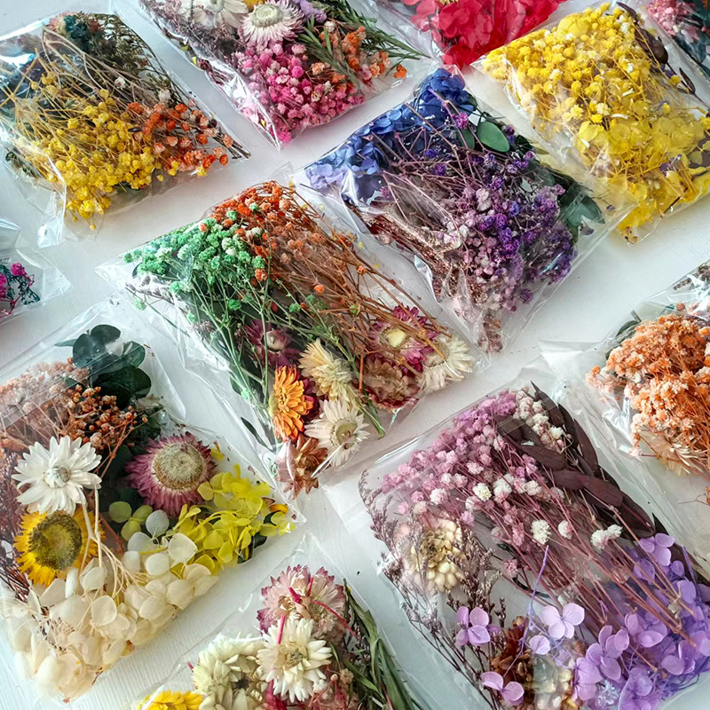 1pack Multifarious Dried Flowe - Dried Flower Bunch 评论和价格