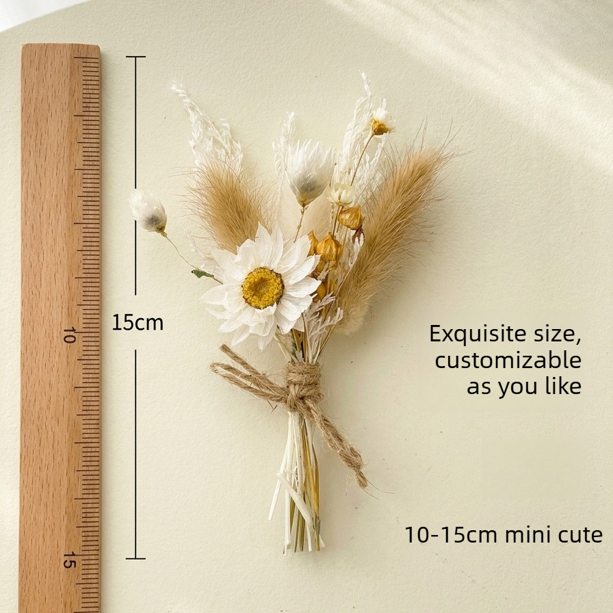 Mini Dried Flower Bouquet Natu - Dried Flower Bunch 评论和价格
