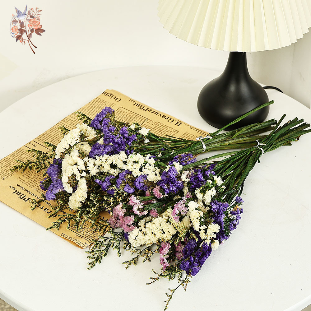 100g Natural Real Forget-me-no - Dried Flower Bunch 评论和价格