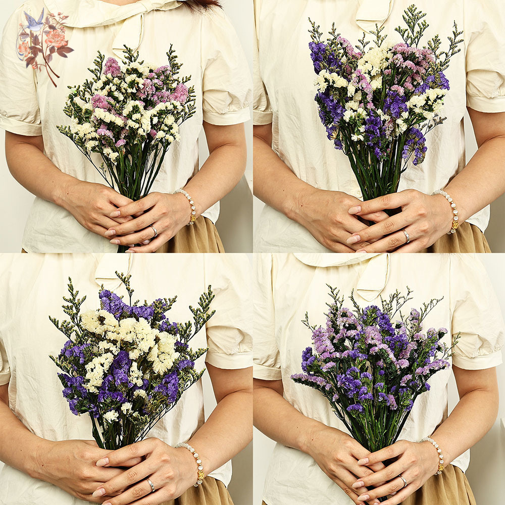 100g Natural Real Forget-me-no - Dried Flower Bunch 评论和价格