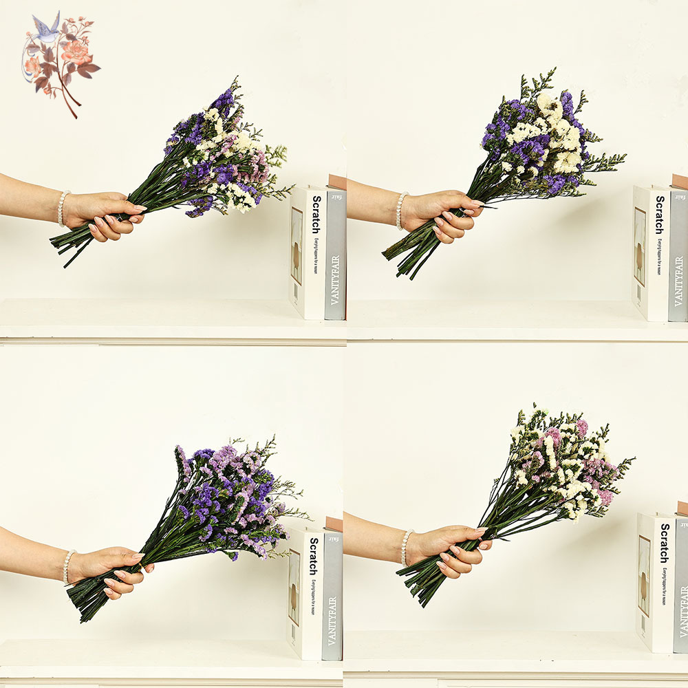 100g Natural Real Forget-me-no - Dried Flower Bunch 评论和价格